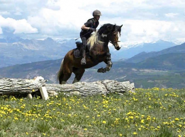  TREC nelle Hautes Alpes